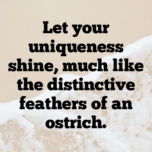 Ostrich Captions Image For Instagram-5sCcOy