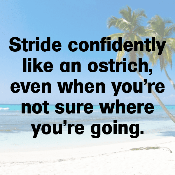 Ostrich Captions Photo For Instagram-jDty8A