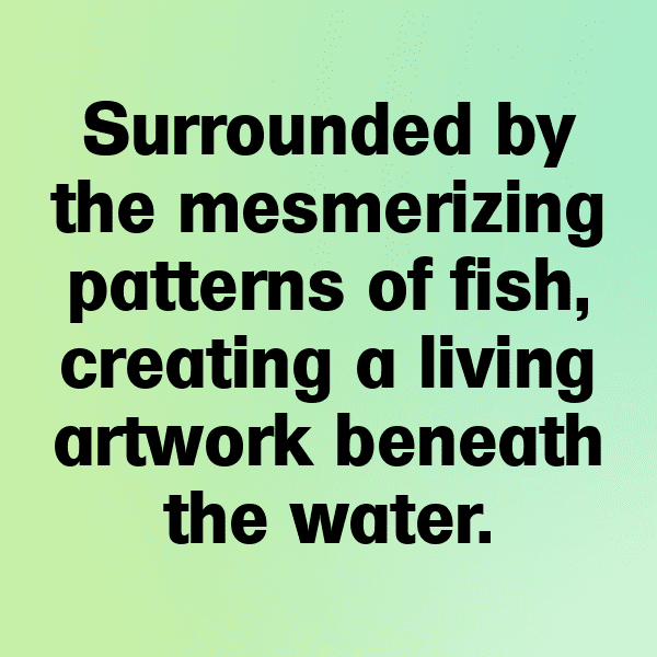 Ostrich Captions Photo For Instagram-lR1WkN