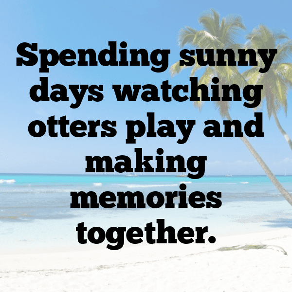 Otter Captions Image For Instagram-0dV5qe