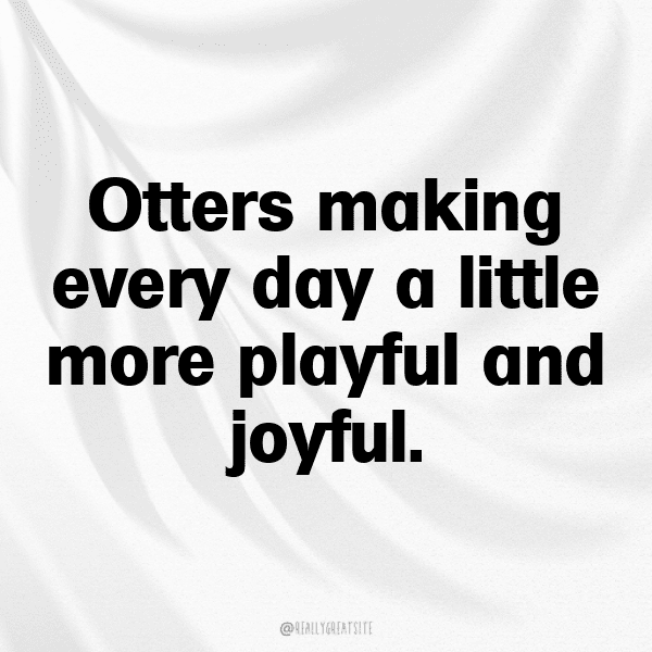 Otter Captions Image For Instagram-EhoIBn