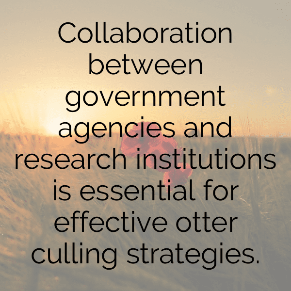 Otter Captions Image For Instagram-I6haYo