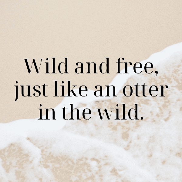 Otter Captions Image For Instagram-nsDQCA