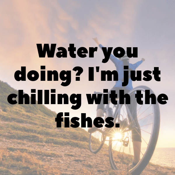 Otter Captions Image For Instagram-yuzHfA