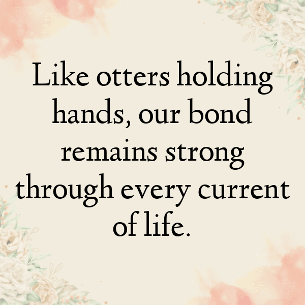 Otter Captions Photo For Instagram-K0rJu3