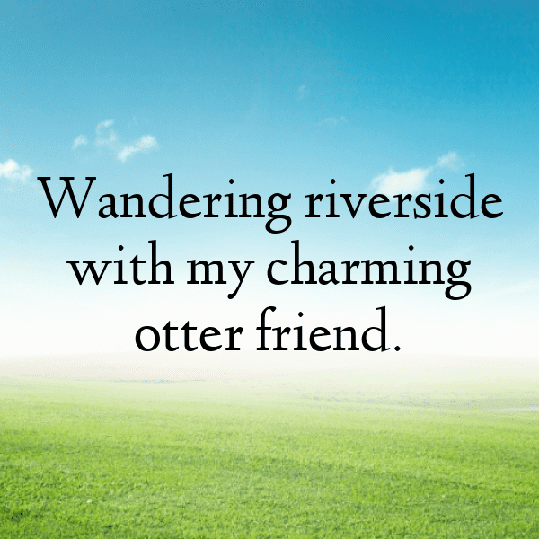 Otter Captions Photo For Instagram-S5zrvM