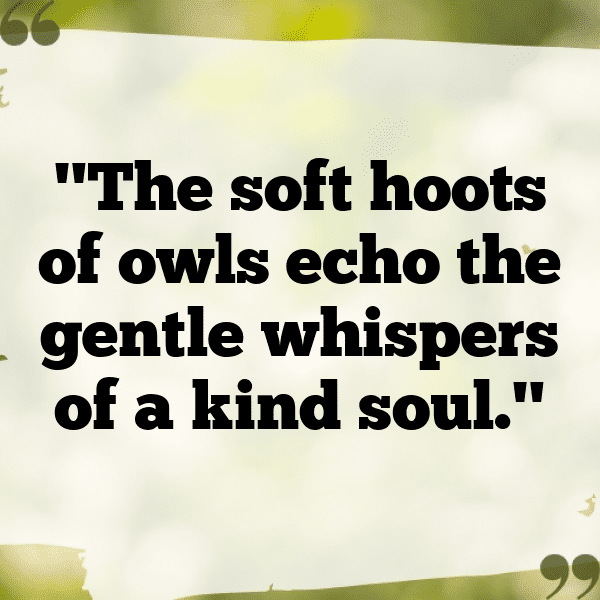 Owl Captions Image For Instagram-HNKuqC