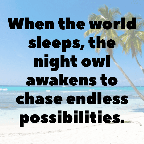 Owl Captions Photo For Instagram-C10y3L