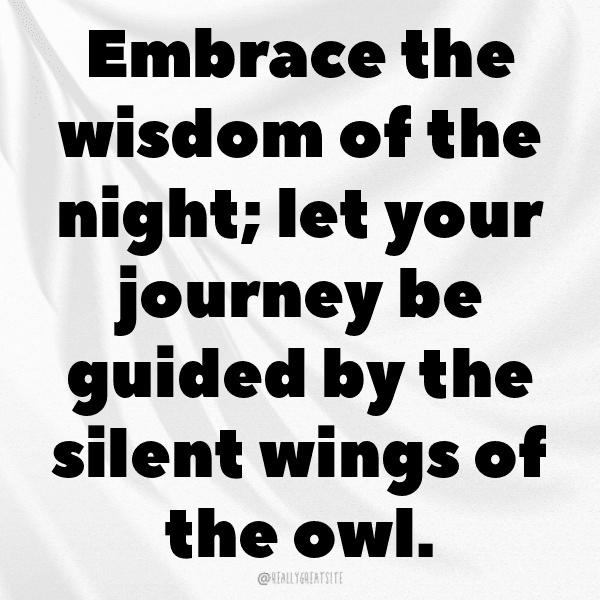 Owl Captions Photo For Instagram-VfXlGZ