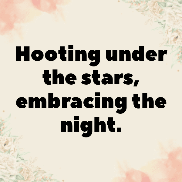 Owl Captions Photo For Instagram-ZDxcGr