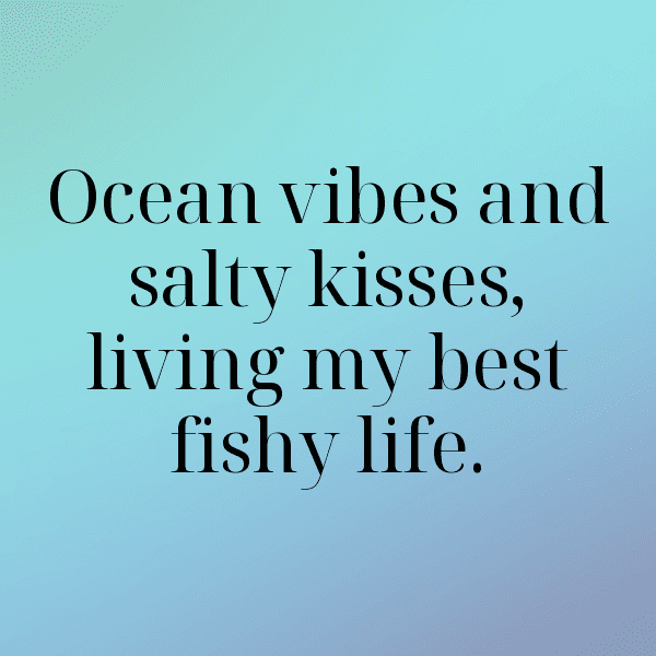 Oyster Captions Photo For Instagram-hdVufl