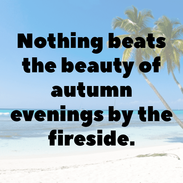 262+ Oyster Leaf Captions For Instagram (Short, Trending & Viral) 3 Oyster Leaf Captions Image For Instagram-m5MRjA