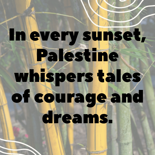 302+ Palestine Captions For Instagram (Trending, Funny & Top) 15 Palestine Captions Image For Instagram-Yk2kRK