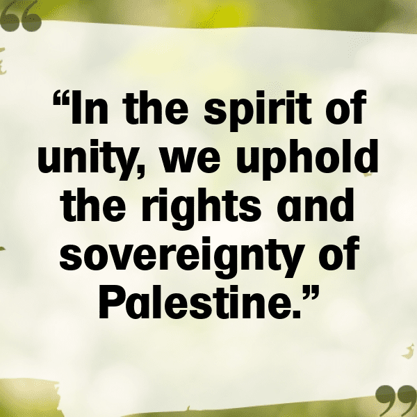 302+ Palestine Captions For Instagram (Trending, Funny & Top) 8 Palestine Captions Photo For Instagram-6VRF5E