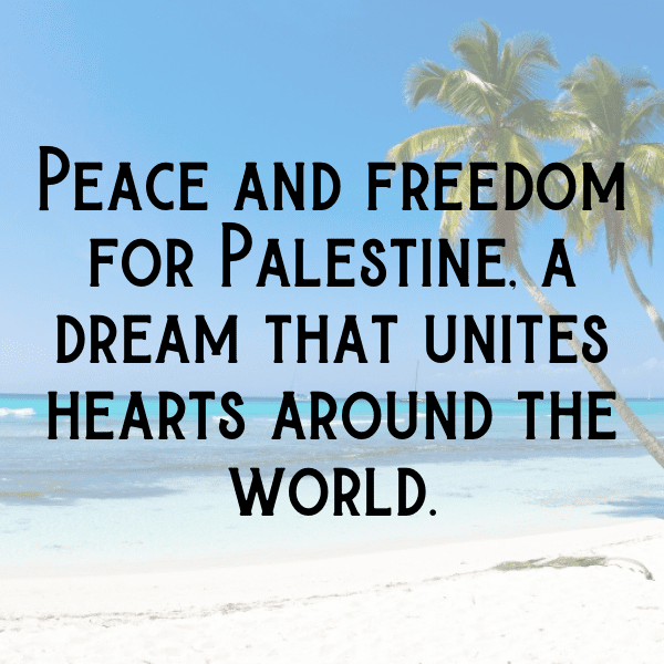 302+ Palestine Captions For Instagram (Trending, Funny & Top) 9 Palestine Captions Photo For Instagram-azJCsr