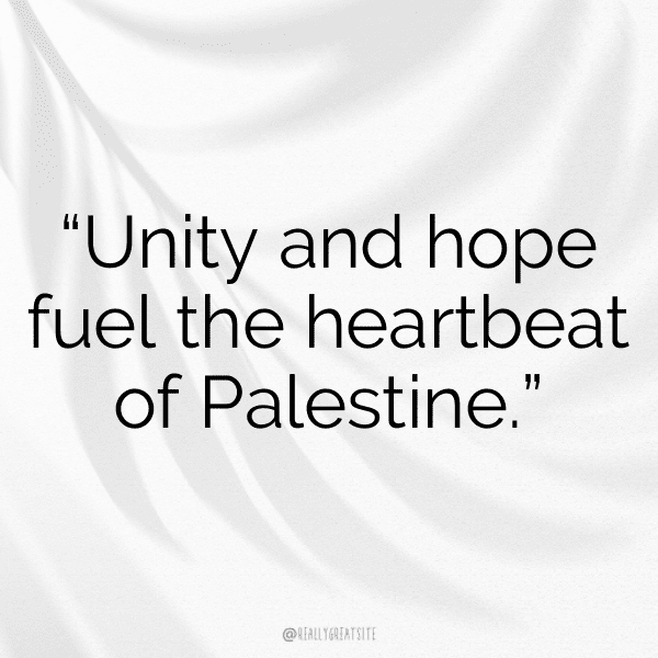 302+ Palestine Captions For Instagram (Trending, Funny & Top) 16 Palestine Captions Photo For Instagram-RVmhy9