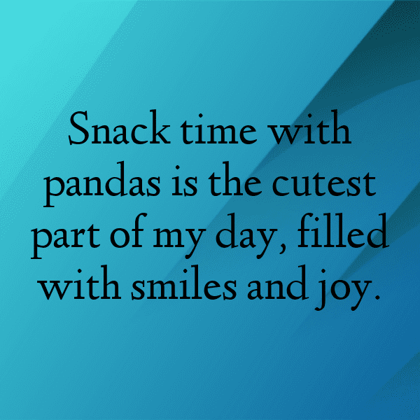 Panda Captions Image For Instagram-A8Z2gx