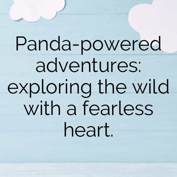 Panda Captions Image For Instagram-KSjBcf