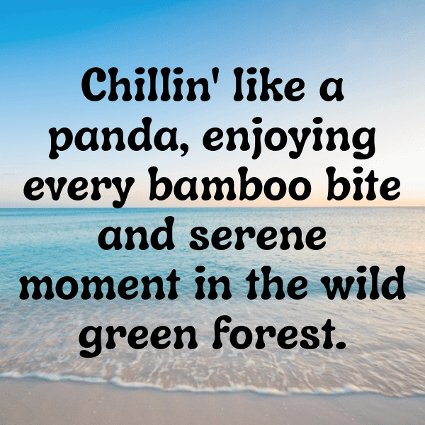 Panda Captions Image For Instagram-pr3XVt