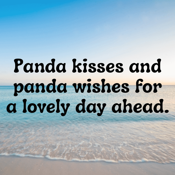 Panda Captions Image For Instagram-SjleUm