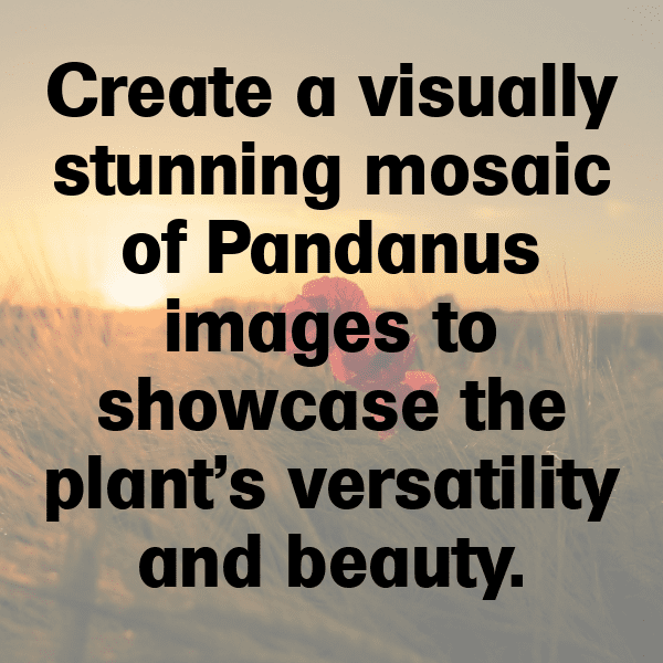 230+ Pandanus Captions For Instagram (Short, Trending & Viral) 5 Pandanus Captions Image For Instagram-lAJynQ