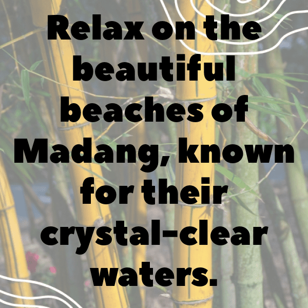 Papua New Guinea Captions Photo For Instagram-1wTkzl