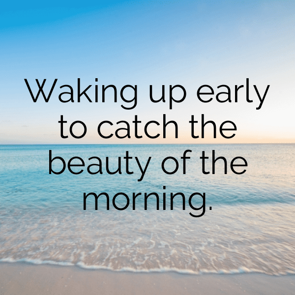 Parrot Captions Image For Instagram-JKnMxg