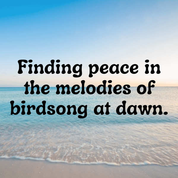 Parrot Captions Image For Instagram-s1RUC2