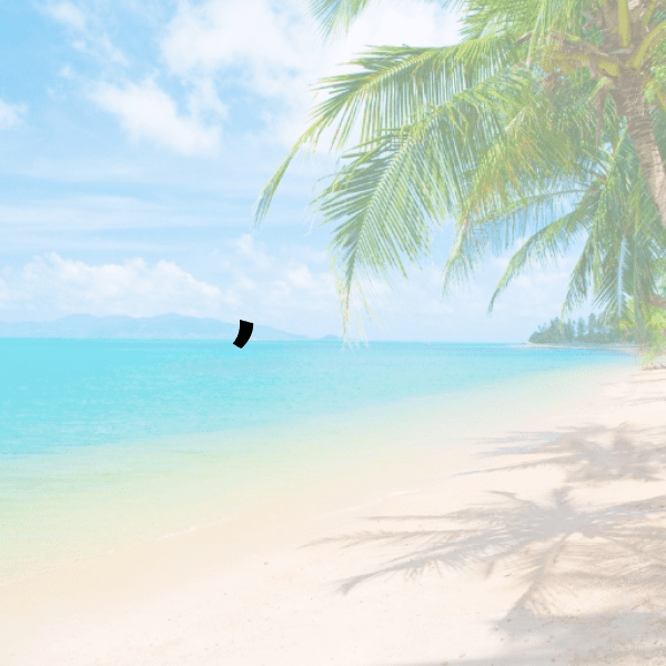 Parrot Captions Photo For Instagram-y69U9N