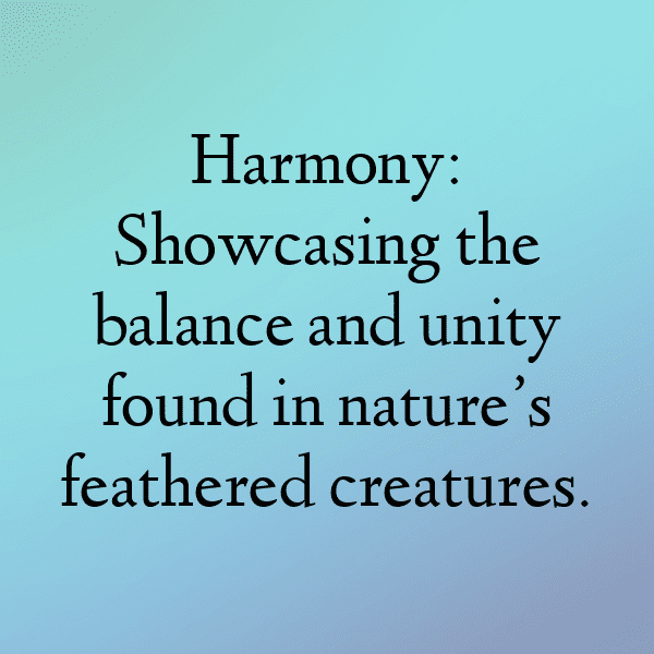 Parrot Captions Photo For Instagram-YIItZq