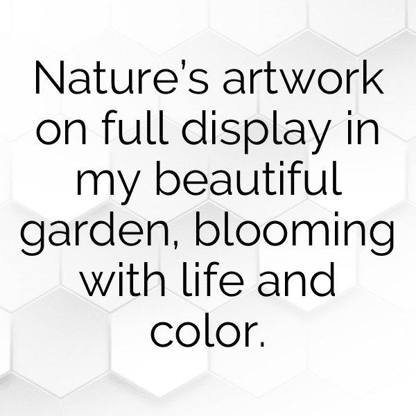 Parsley Captions Photo For Instagram-YFQUTQ