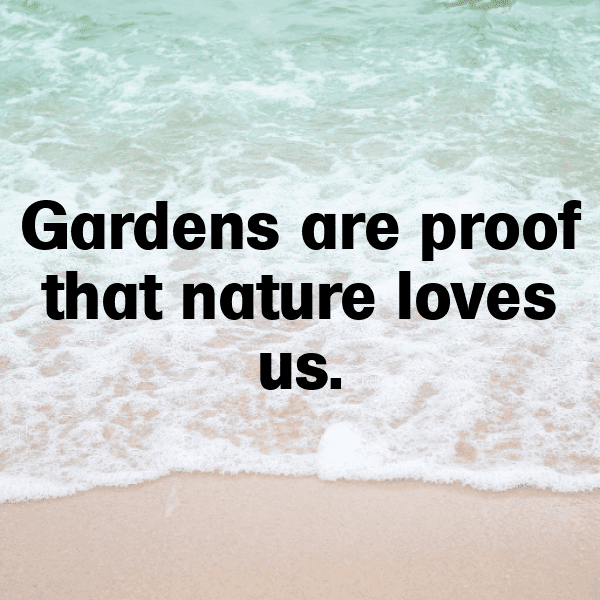 276+ Parsnip Captions For Instagram (Short, Trending & Viral) 7 Parsnip Captions Photo For Instagram-BDKDf5