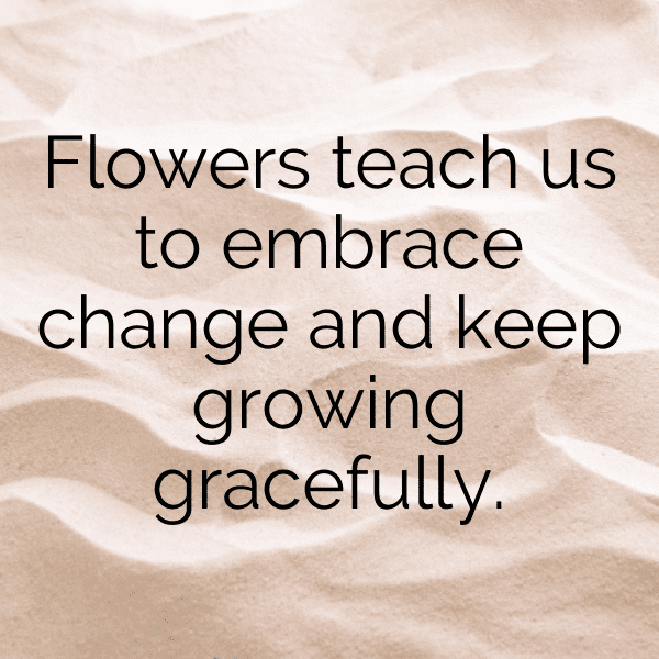 Passionflower Captions Photo For Instagram-TDgHiL