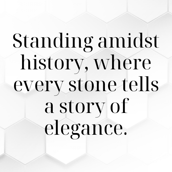 Passionflower Captions Photo For Instagram-ZjP3s0