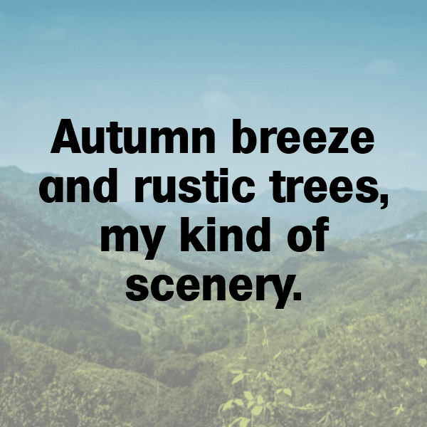 284+ Pattypan Squash Captions For Instagram In 2025 8 Pattypan Squash Captions Image For Instagram-boCpCd