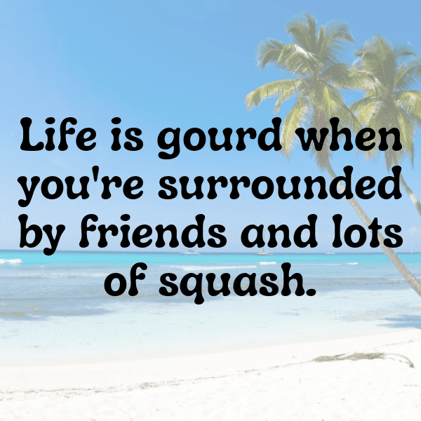 284+ Pattypan Squash Captions For Instagram In 2025 10 Pattypan Squash Captions Image For Instagram-uzZbVZ