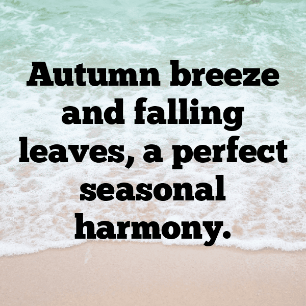 284+ Pattypan Squash Captions For Instagram In 2025 9 Pattypan Squash Captions Photo For Instagram-3pSOZa