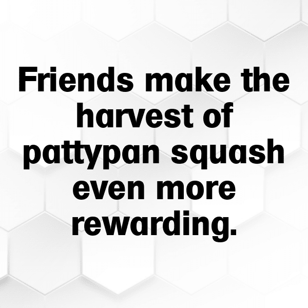 284+ Pattypan Squash Captions For Instagram In 2025 6 Pattypan Squash Captions Photo For Instagram-FAmSyN