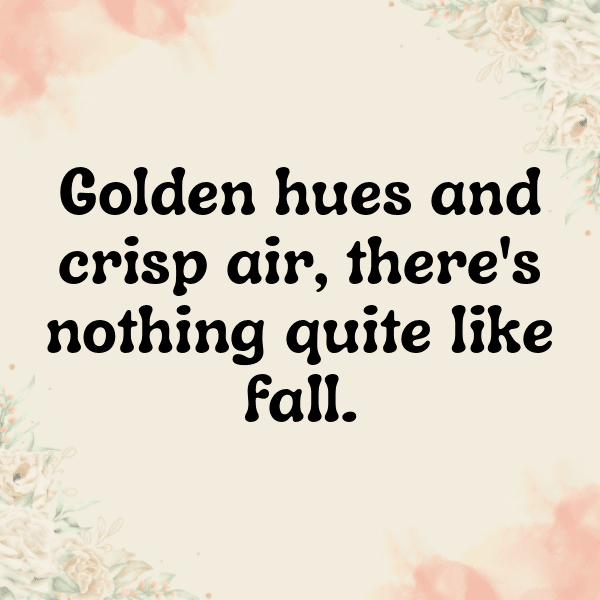 284+ Pattypan Squash Captions For Instagram In 2025 3 Pattypan Squash Captions Photo For Instagram-qm52f0