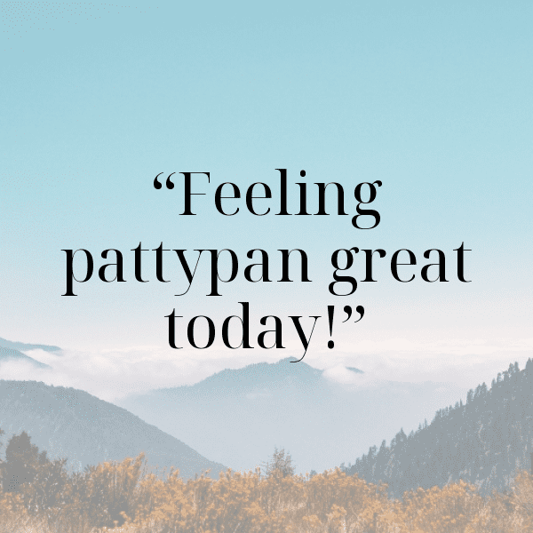 284+ Pattypan Squash Captions For Instagram In 2025 4 Pattypan Squash Captions Photo For Instagram-yccsXz