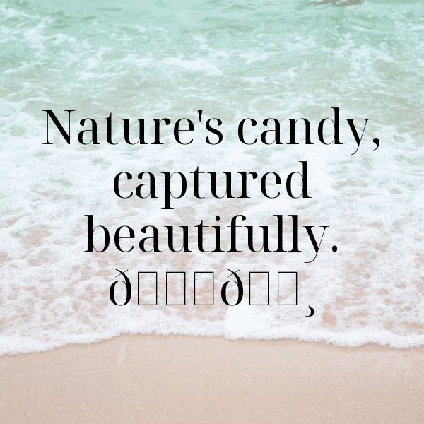 208+ Pea Captions For Instagram (Fresh & Trendy) 13 Pea Captions Photo For Instagram-rKYWAB