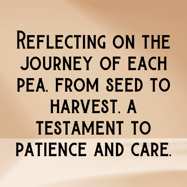 208+ Pea Captions For Instagram (Fresh & Trendy) 7 Pea Captions Photo For Instagram-U8FR4d