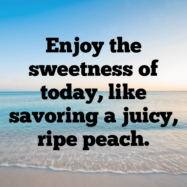 252+ Peach Captions For Instagram In 2025 3 Peach Captions Image For Instagram-OERsa6