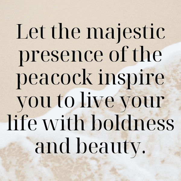 Peacock Captions Photo For Instagram-7LDdDP