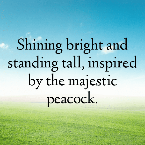 Peacock Captions Photo For Instagram-BEmuUs