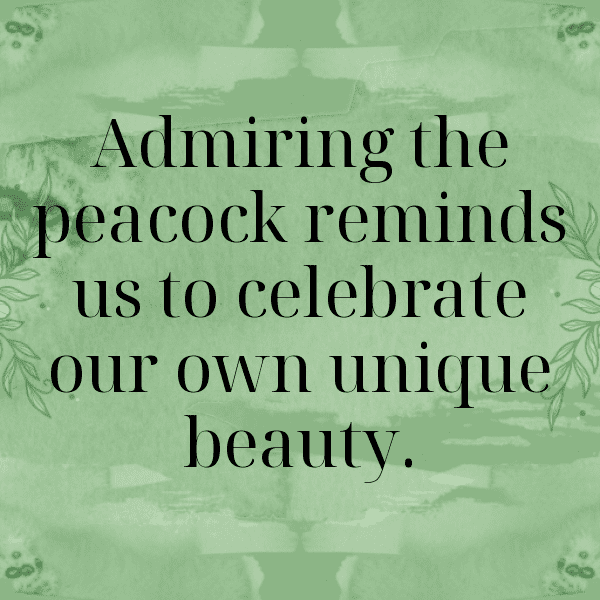 Peacock Captions Photo For Instagram-EiXNBe