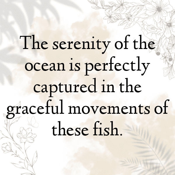 Pelican Captions Image For Instagram-CzHaZW