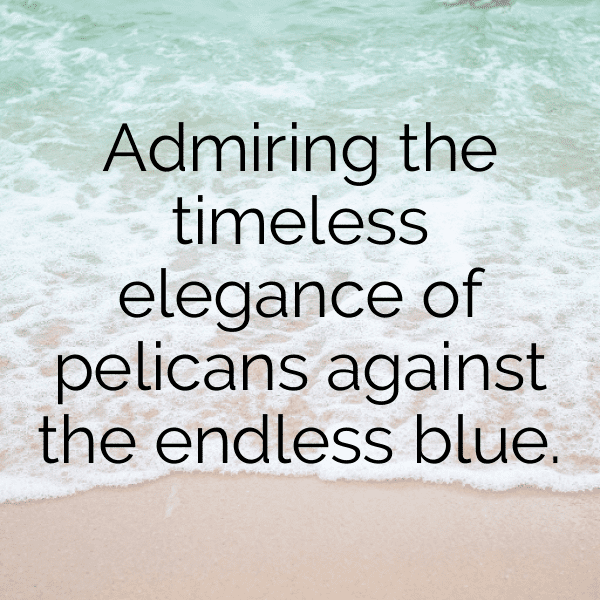 Pelican Captions Image For Instagram-glmjQg