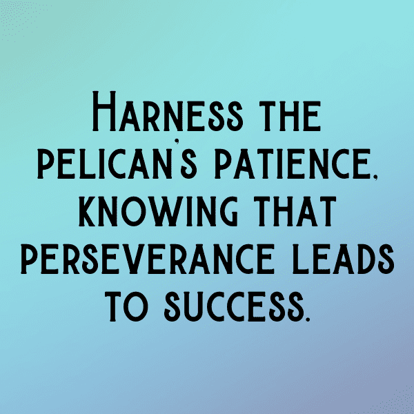 Pelican Captions Image For Instagram-mfALZm