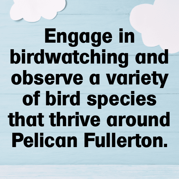 Pelican Captions Image For Instagram-WxtGHN